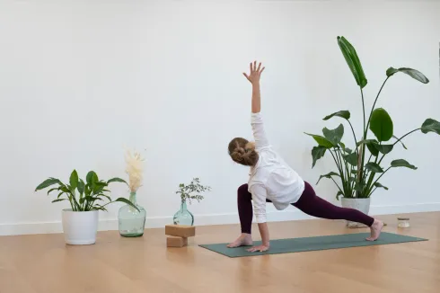 Yoga Vinyasa - Intermédiaire